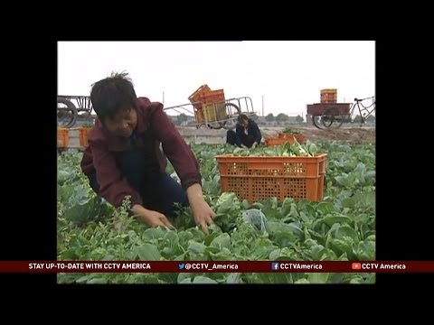 Impact of China&#039;s Urbanization Push on Migrant Workers