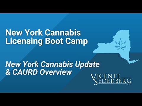 New York Cannabis Licensing Bootcamp: Conditional Adult Use Retail Dispensary (CAURD) Overview