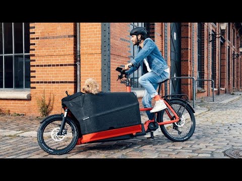 Riese and Muller Packster 70 Electric Cargo Bike Review