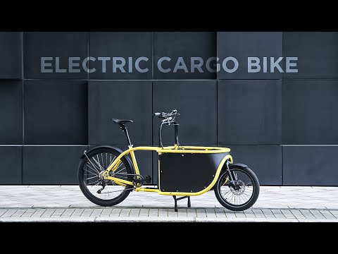 10 Most Amazing Electric Cargo Bike You Need to See