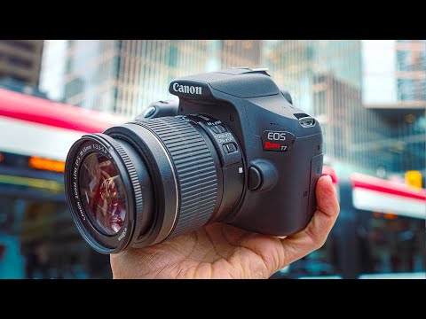 Best DSLR Cameras in 2024 | Top 4 DSLRs For Photo &amp; Video