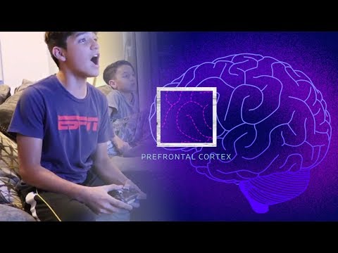 This Is Your Child&#039;s Brain on Videogames | WSJ