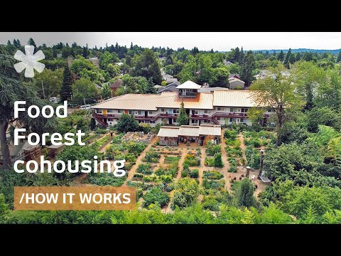 Rundown apartments reborn as food-forest coliving Agritopia