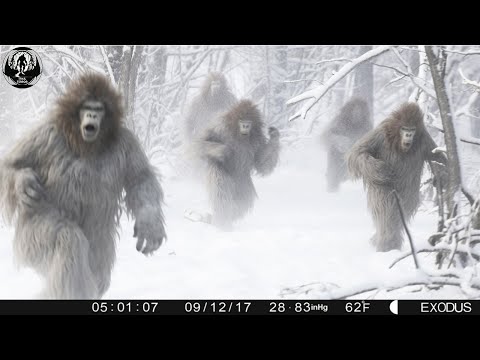 2023 TRAIL CAM SPOTS THE UNTHINKABLE