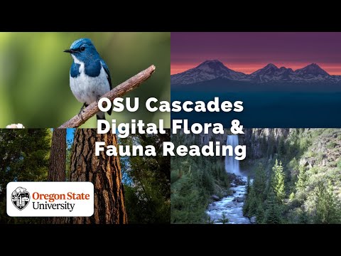 OSU Cascades Flora and Fauna Reading