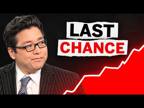 💥Tom Lee’s Best 8 Stocks to BUY NOW in Nov 2024 (High Growth Stocks) 🚀📈