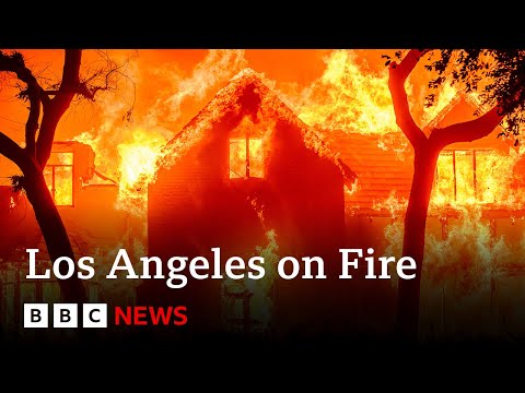 How the LA wildfires unfolded and what’s needed for recovery | BBC News