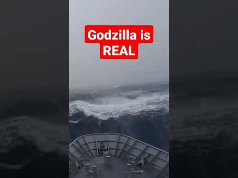 godzilla caught on cam #shorts #godzillavskong #fypyoutube #fyp