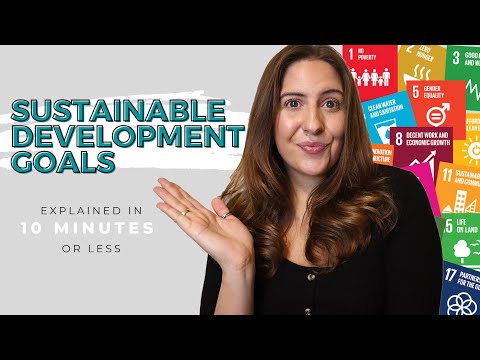 Sustainable Development Goals (SDGs) Explained in 10 minutes or less