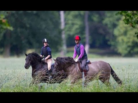 Prince Edward and Lady Louise&#039;s Father&#039;s Day horse ride in Windsor after private jet row - Daily New