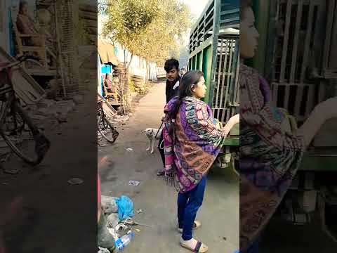 100M views Dog catchers nagar nigam #shorts#